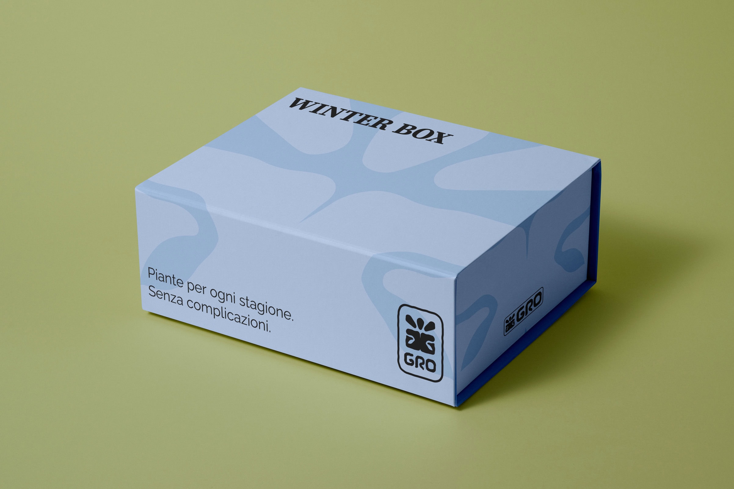 Minimalist winter-themed packaging design for seasonal plant products.